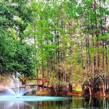 Waterfront Houston Hide Out In A Magical Forest Waller Экстерьер фото