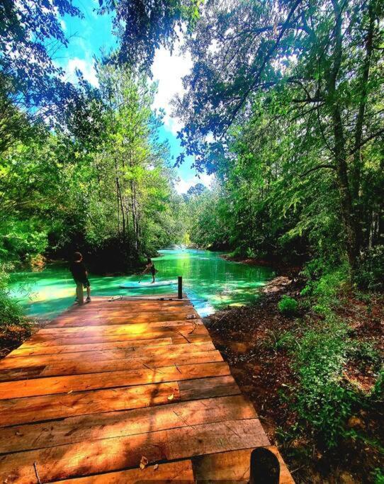 Waterfront Houston Hide Out In A Magical Forest Waller Экстерьер фото