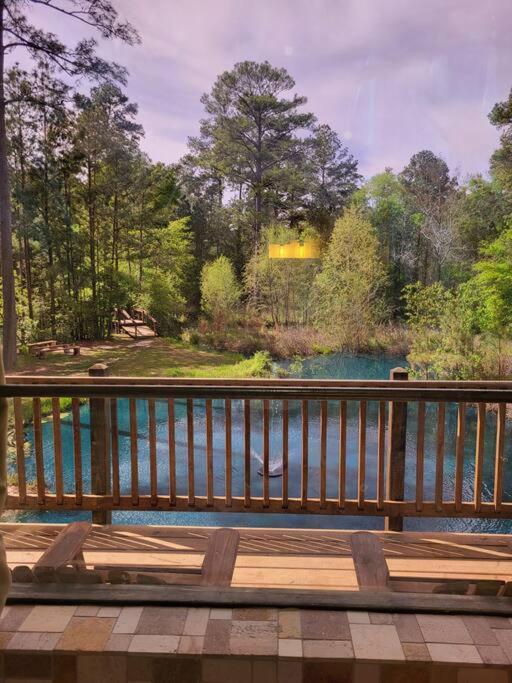 Waterfront Houston Hide Out In A Magical Forest Waller Экстерьер фото