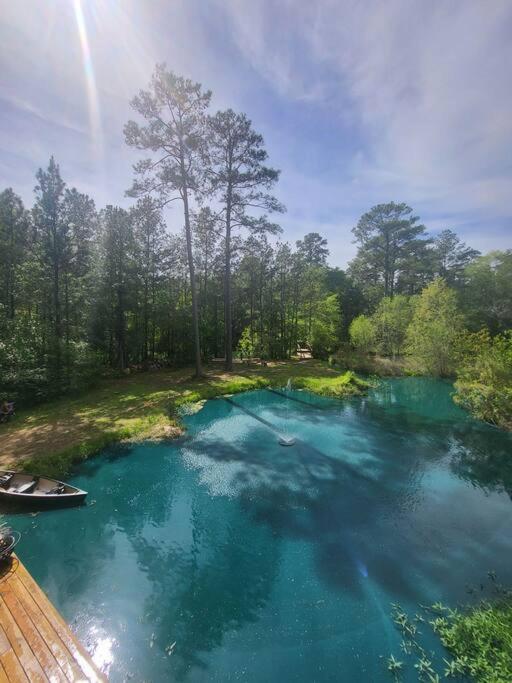 Waterfront Houston Hide Out In A Magical Forest Waller Экстерьер фото