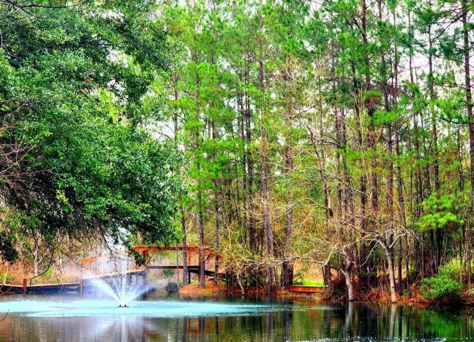 Waterfront Houston Hide Out In A Magical Forest Waller Экстерьер фото