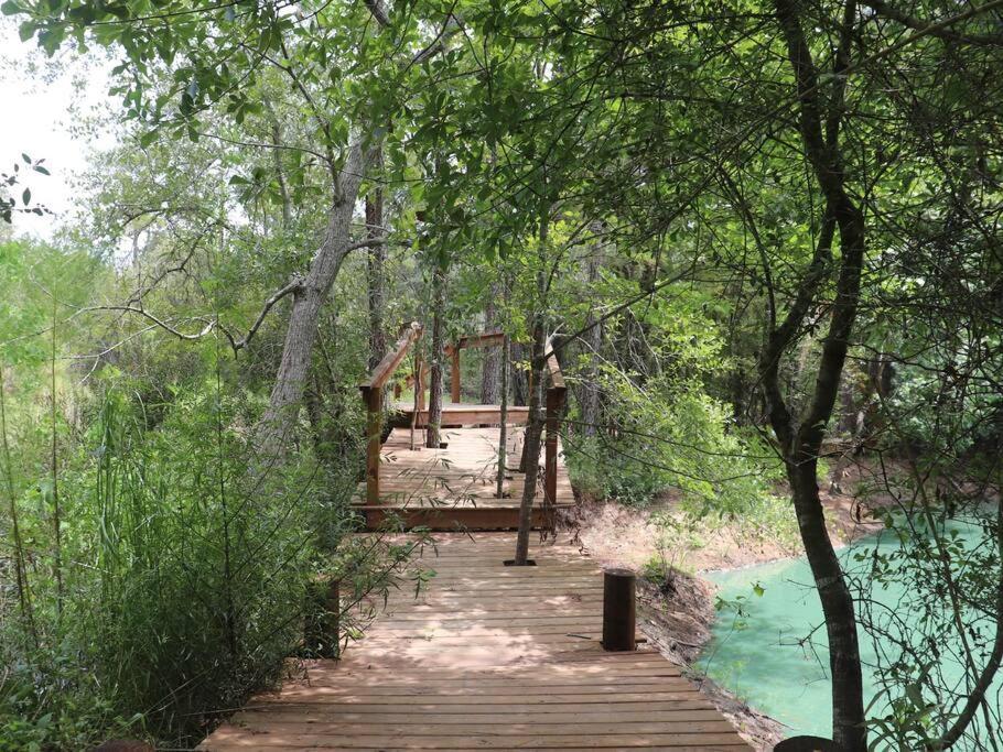Waterfront Houston Hide Out In A Magical Forest Waller Экстерьер фото